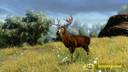 Cabela's Outdoor Adventures (2009) PC | Лицензия