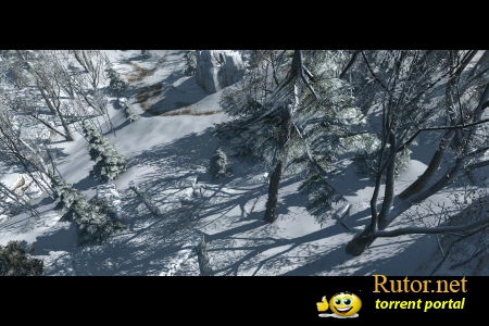 Скриншоты Assassin's Creed 3 – в лесу