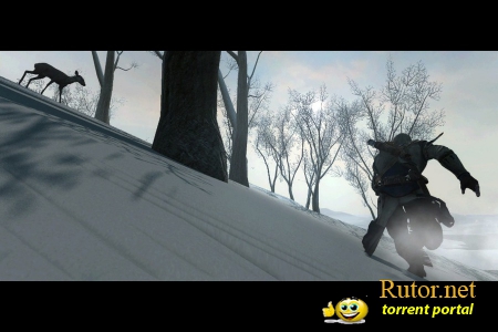 Скриншоты Assassin's Creed 3 – в лесу