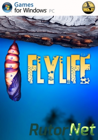 Flylife 2013