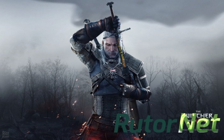 The Witcher 3 Wild Hunt update 1.06 [2015, RUS, L] patch Steam-rip