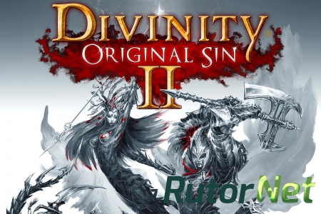 Divinity: Original Sin 2 завершает принятие финансирования на 2 млн$.